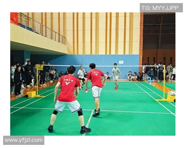 成都羽毛球队与上海羽毛球队赛后复盘分析力量对比与战术探讨