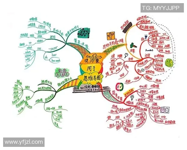 李艳在足球场上的精彩表现与职业生涯的成长历程分析